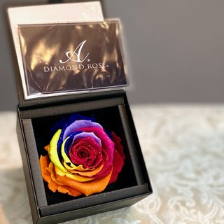 ＡＭＯＲＯＳＡダイヤモンドローズ 　 セブンラック（Ｓサイズ）