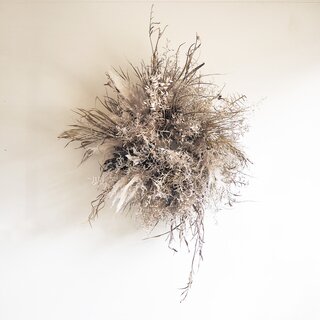Dried wall decoration